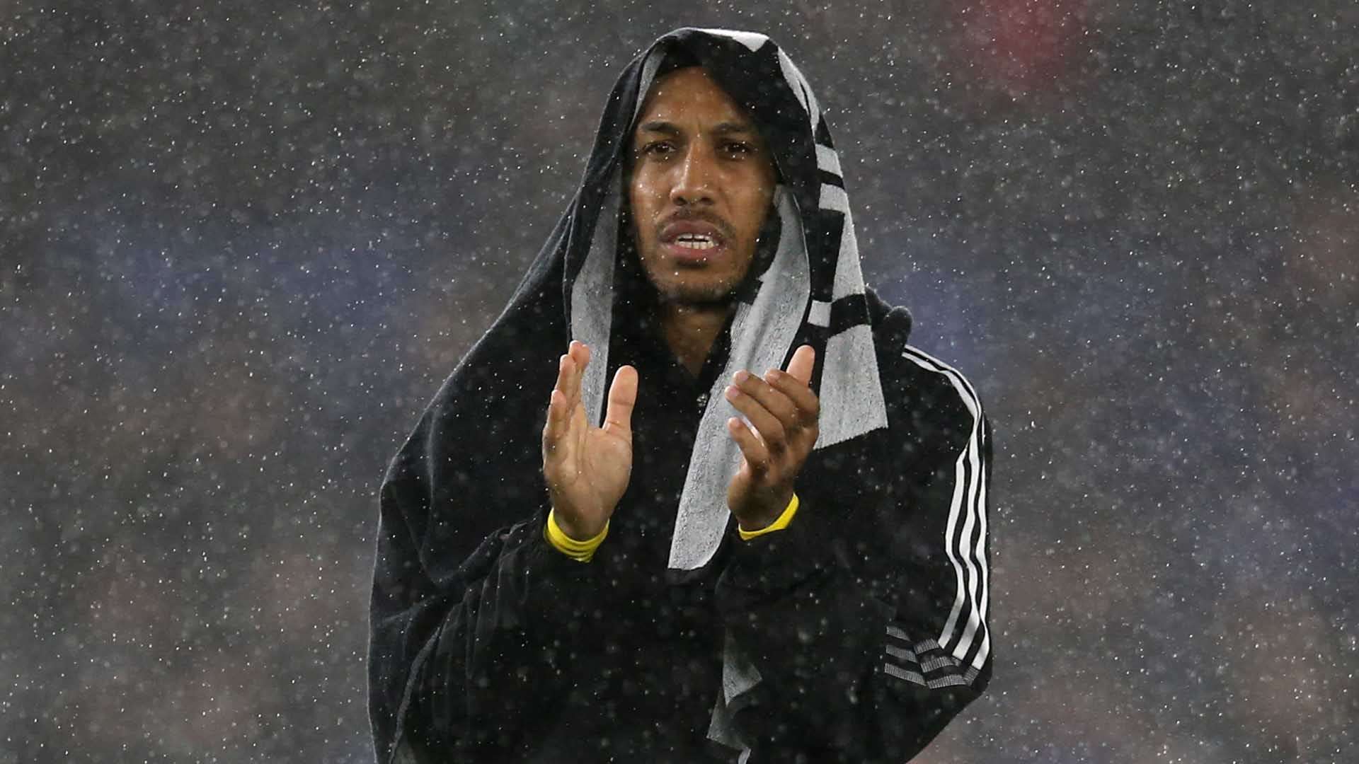 特提供可观 特提供可观