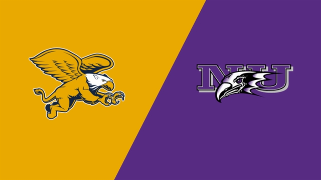 阿根廷队的 阿根廷队的