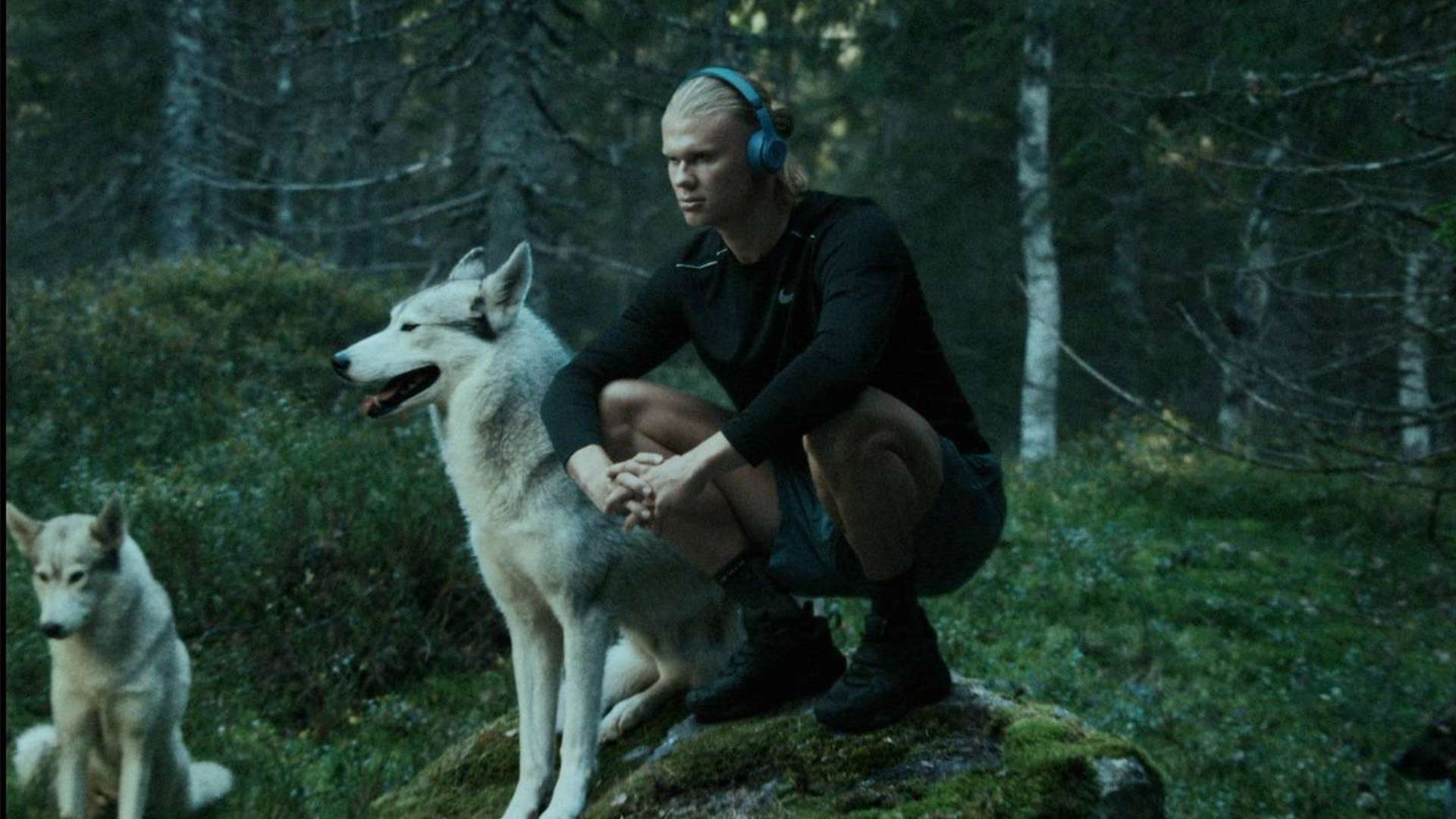 游泳项目圆满落幕 张展硕包揽个人自由泳金牌